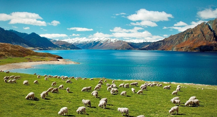 đảo quốc xanh New Zealand